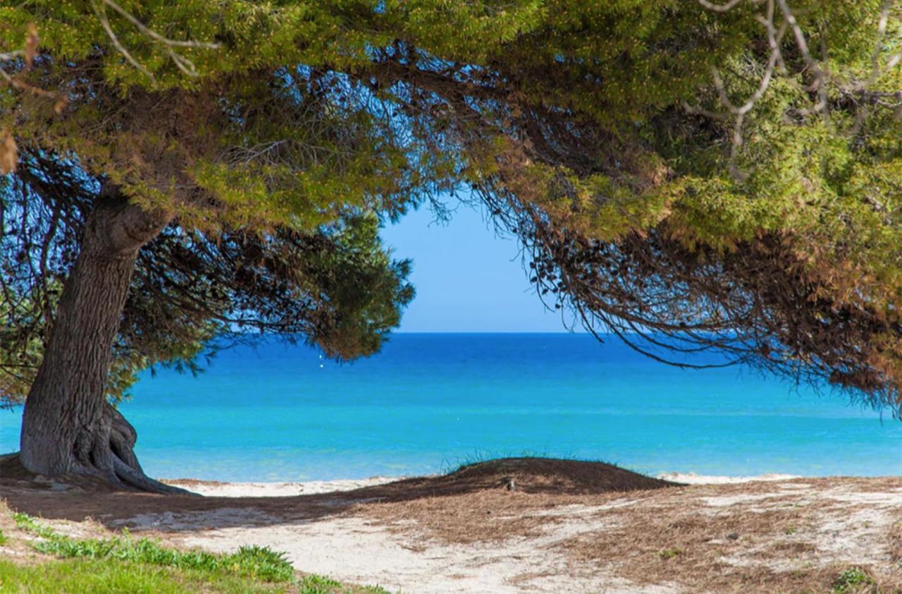 Apartment Countess Garden 3-1, Sun Of The Bay 1, At Alcudia Beach Εξωτερικό φωτογραφία